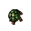 Tortoise
